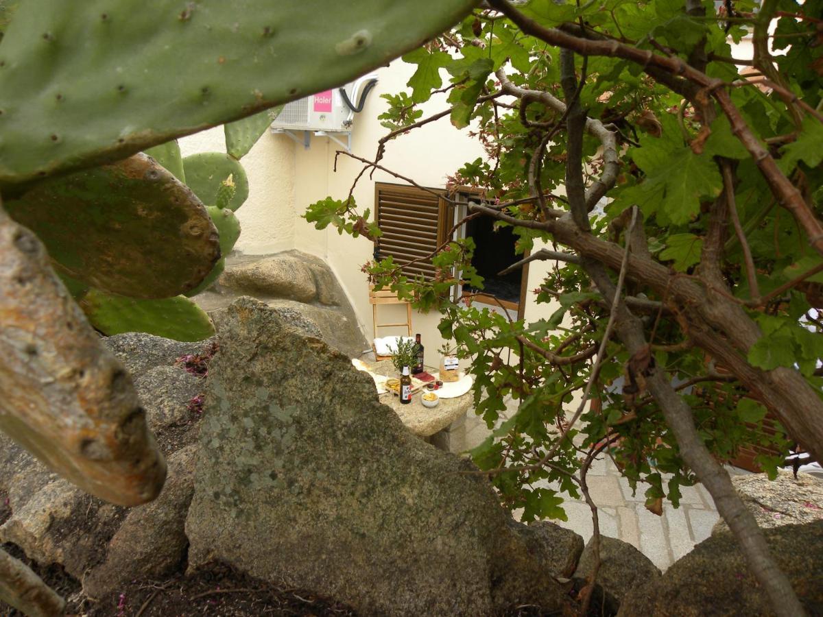 Villa Carlotta La Maddalena Λα Μανταλένα Εξωτερικό φωτογραφία