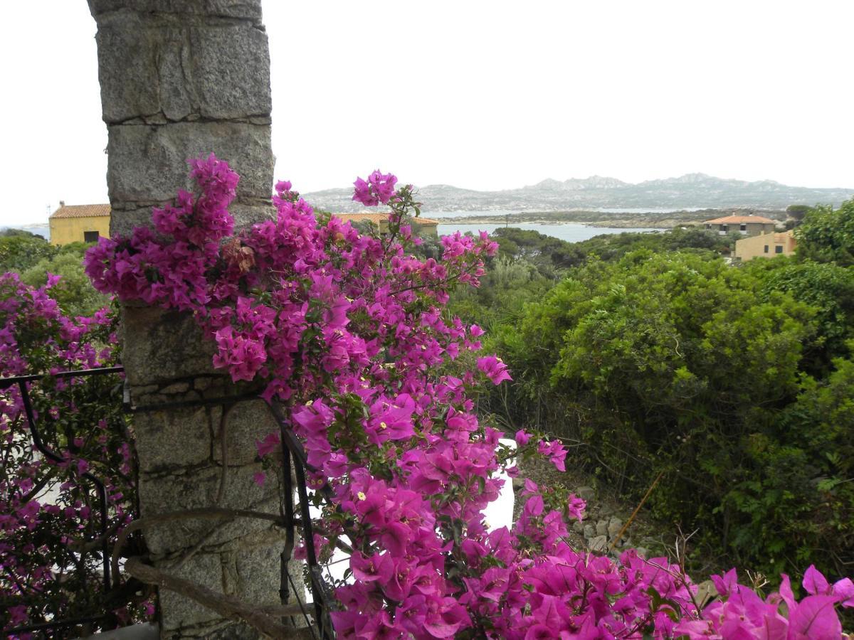 Villa Carlotta La Maddalena Λα Μανταλένα Εξωτερικό φωτογραφία