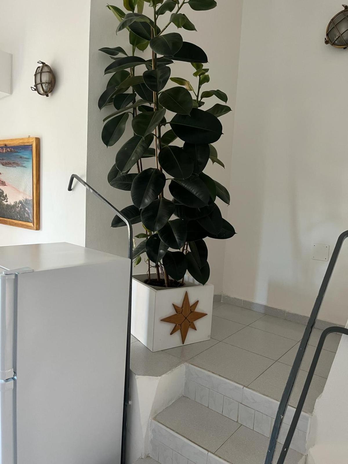 Villa Carlotta La Maddalena Λα Μανταλένα Εξωτερικό φωτογραφία