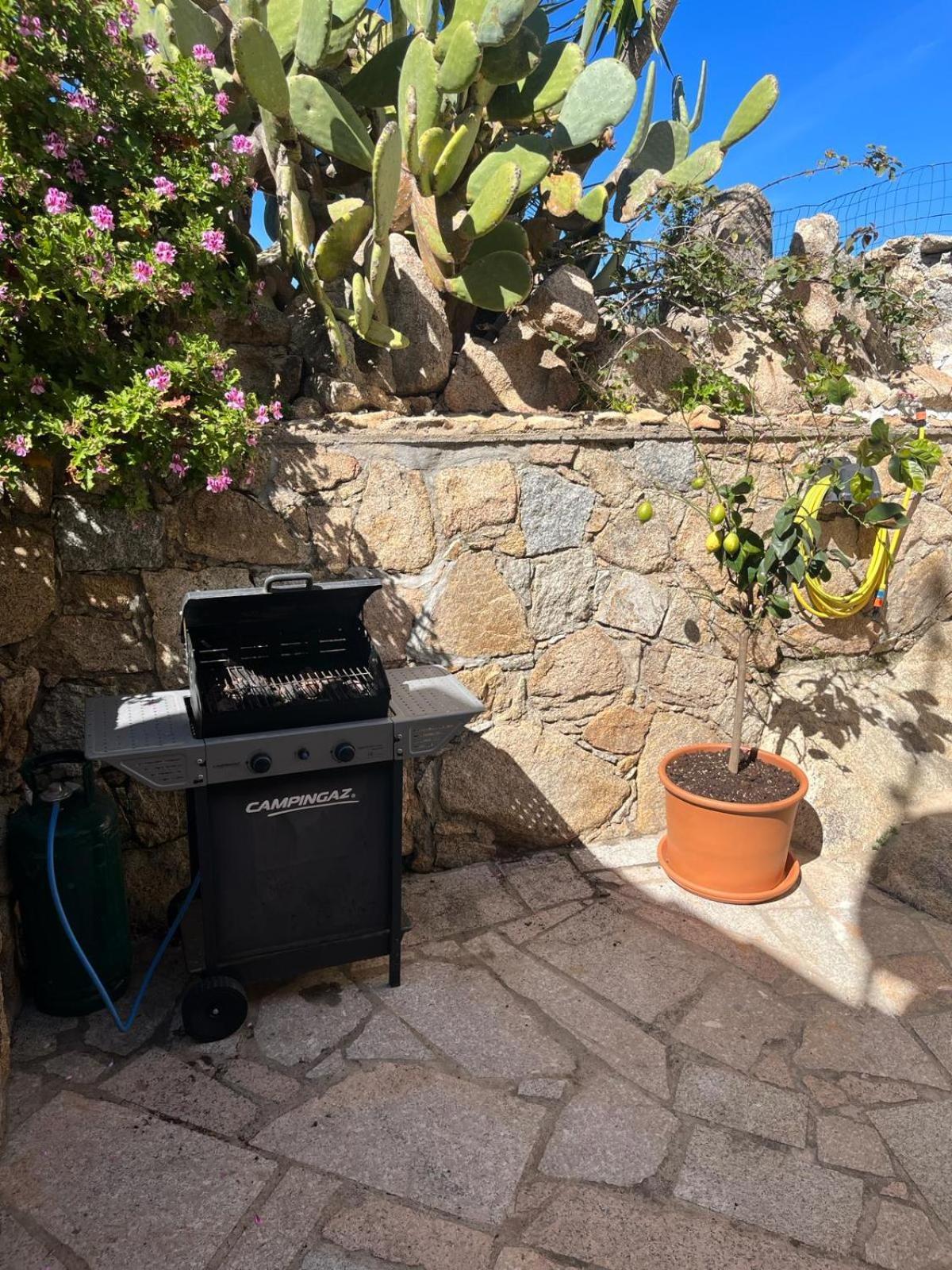 Villa Carlotta La Maddalena Λα Μανταλένα Εξωτερικό φωτογραφία